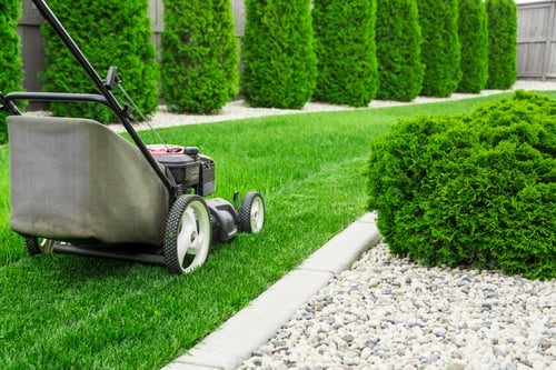 Lawn Care